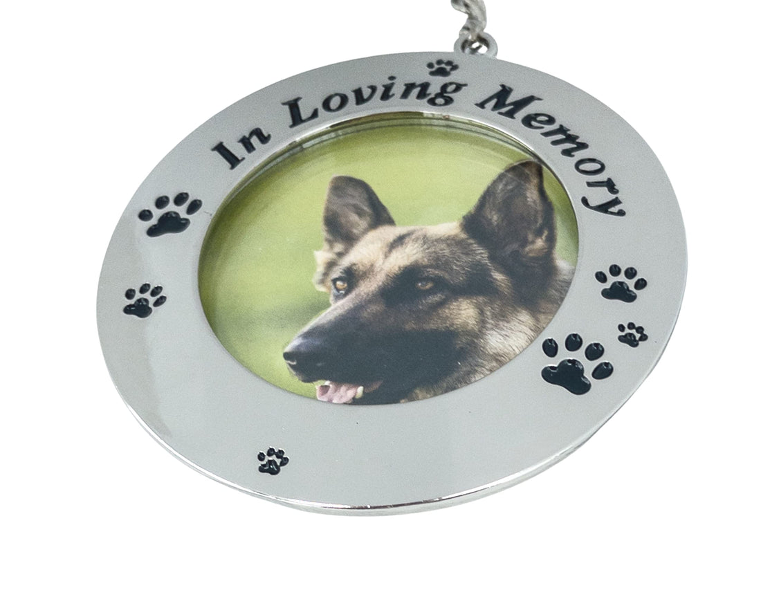 Pet Memorial Photo Frame Ornament in Loving Memory Pets Remembrance