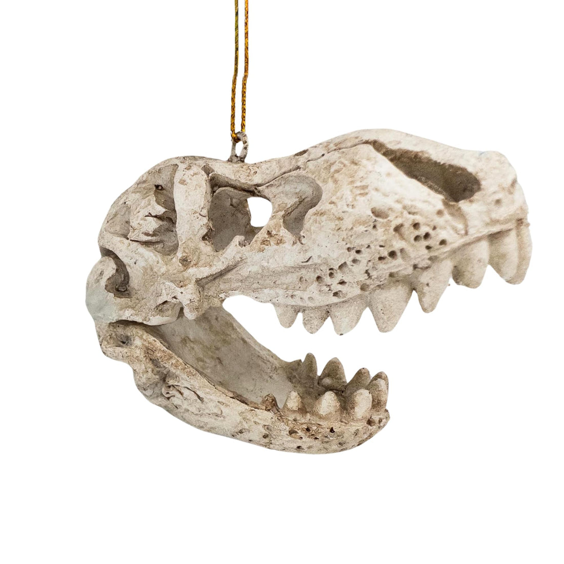 T Rex Skull Skeleton Christmas Dinosauer Ornament Prehistoric Holiday Decor
