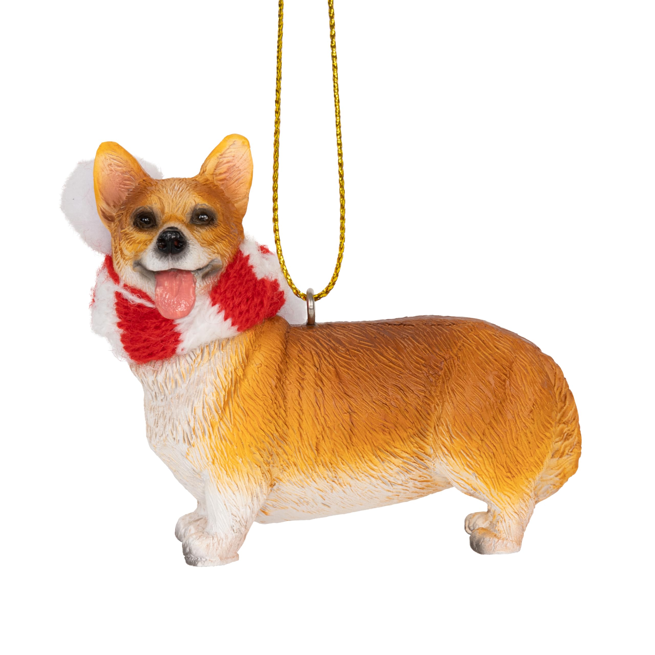 Dog Collection - Premium Accessories & Supplies