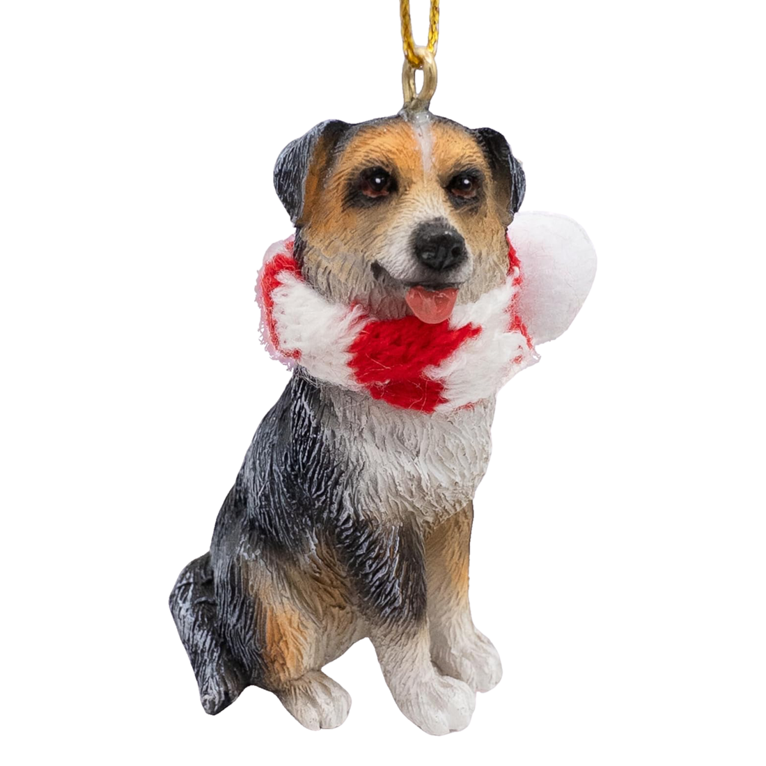 Australian Shepherd