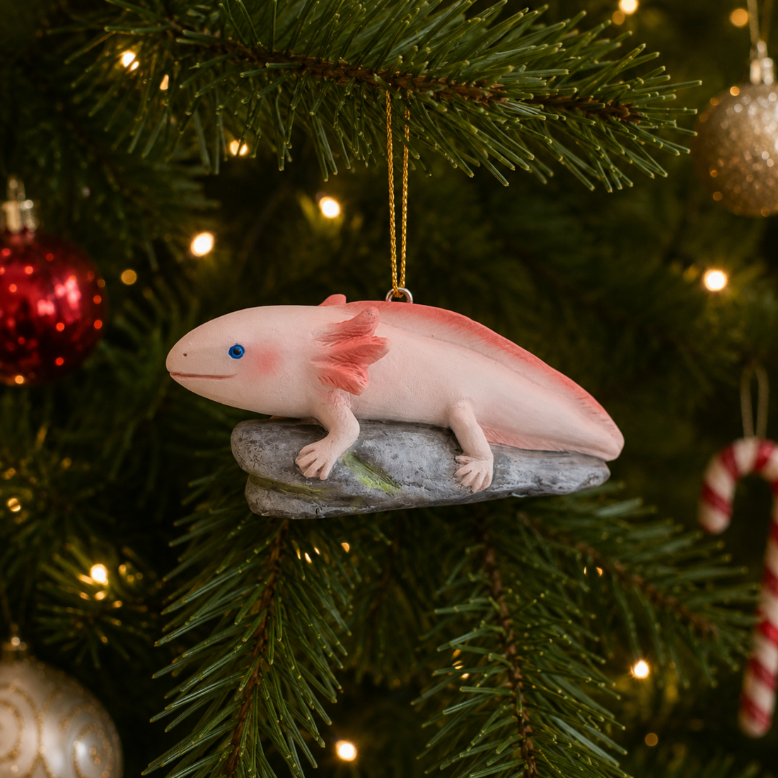 Axolotl
