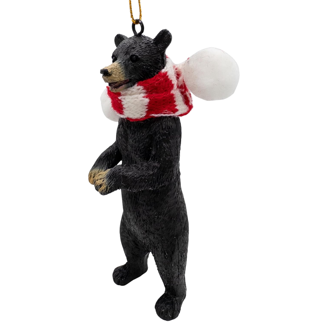 Black Bear