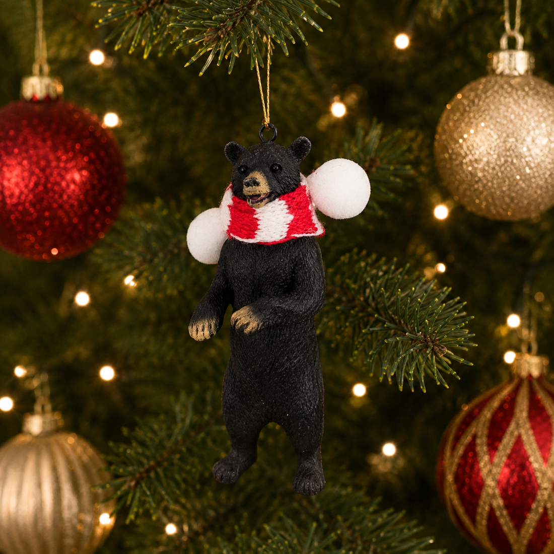 Black Bear