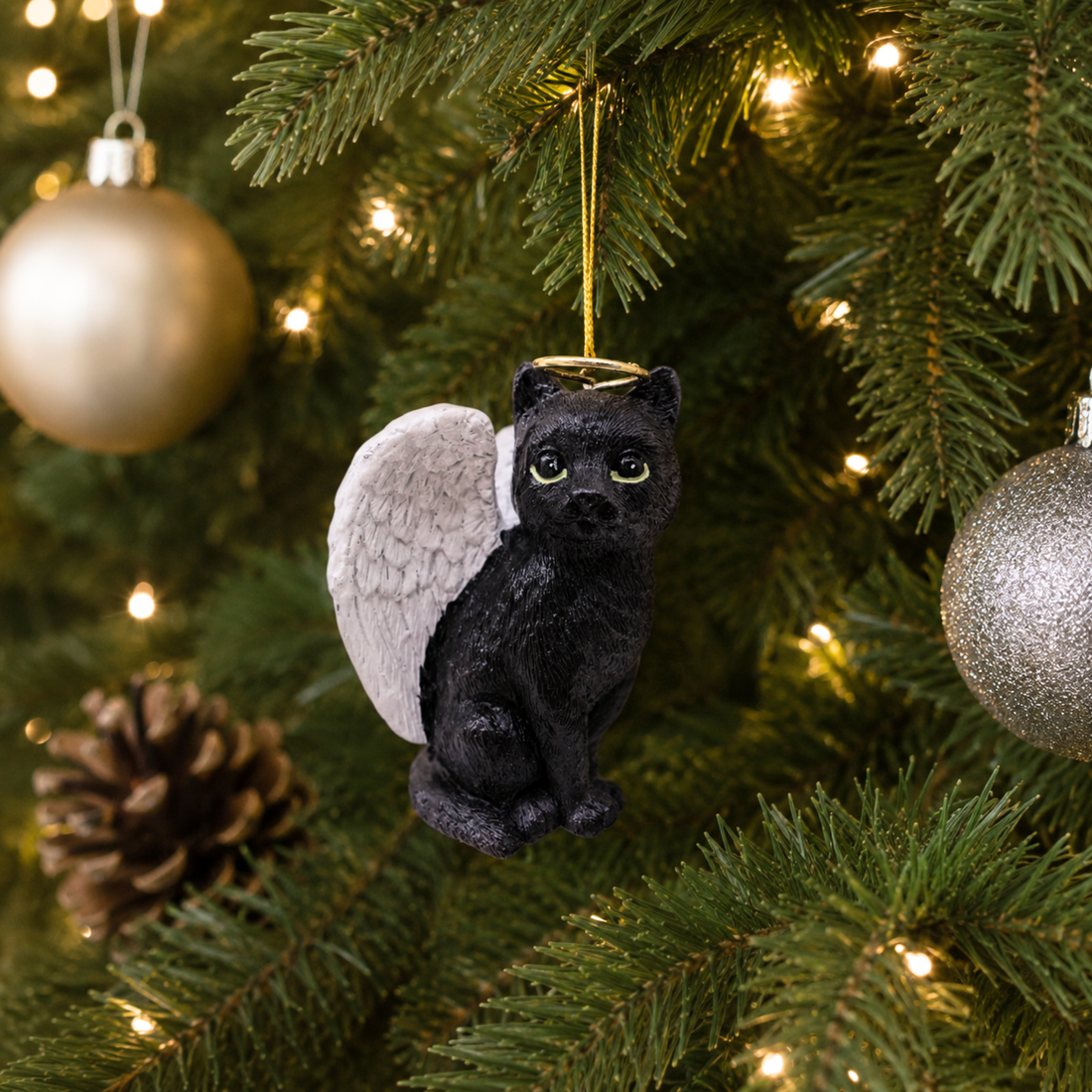 Angel Black Cat