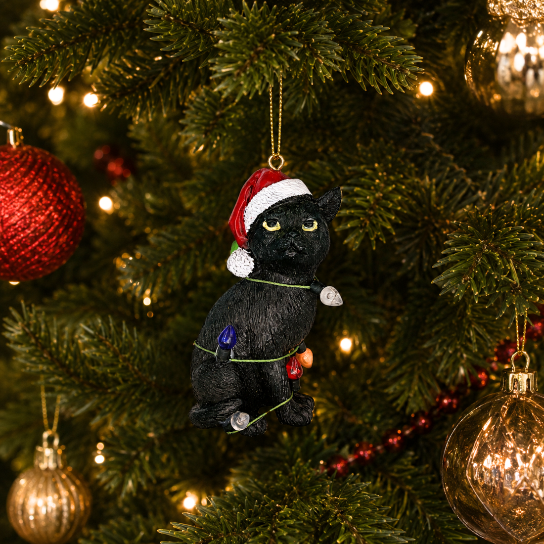 Black Cat with Santa Hat Wrapped in Lights