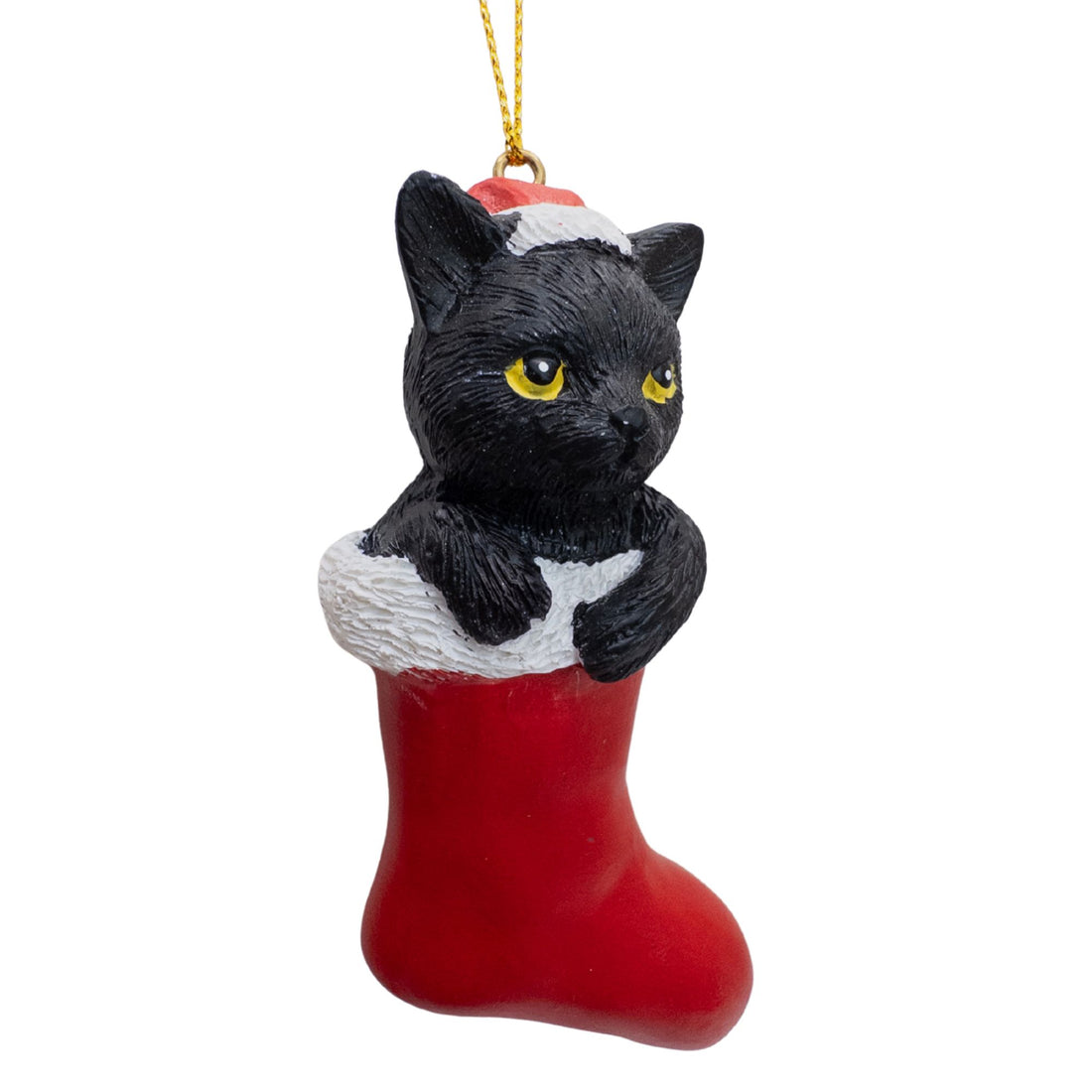 Black Cat in Stocking