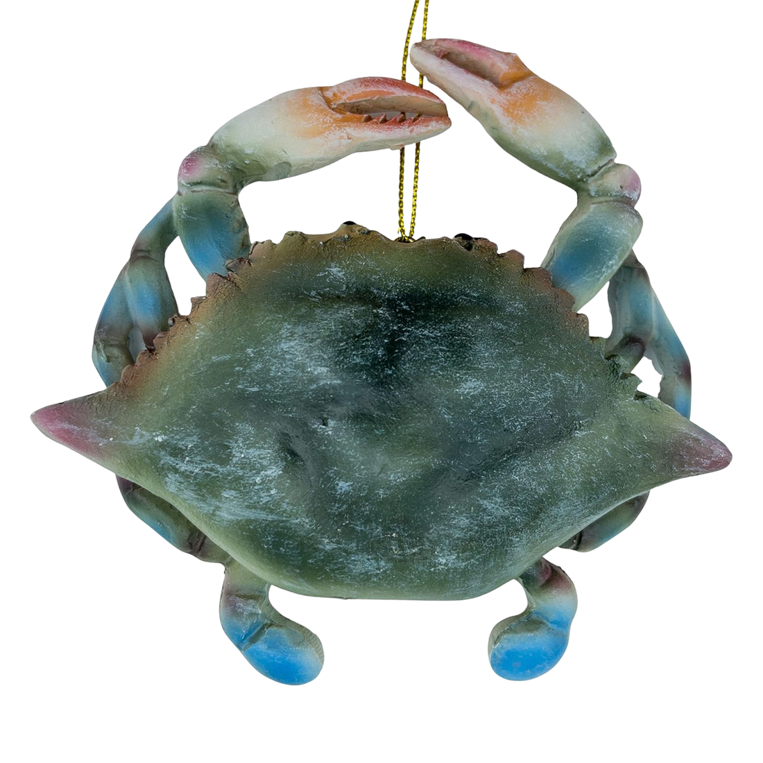 Blue Crab