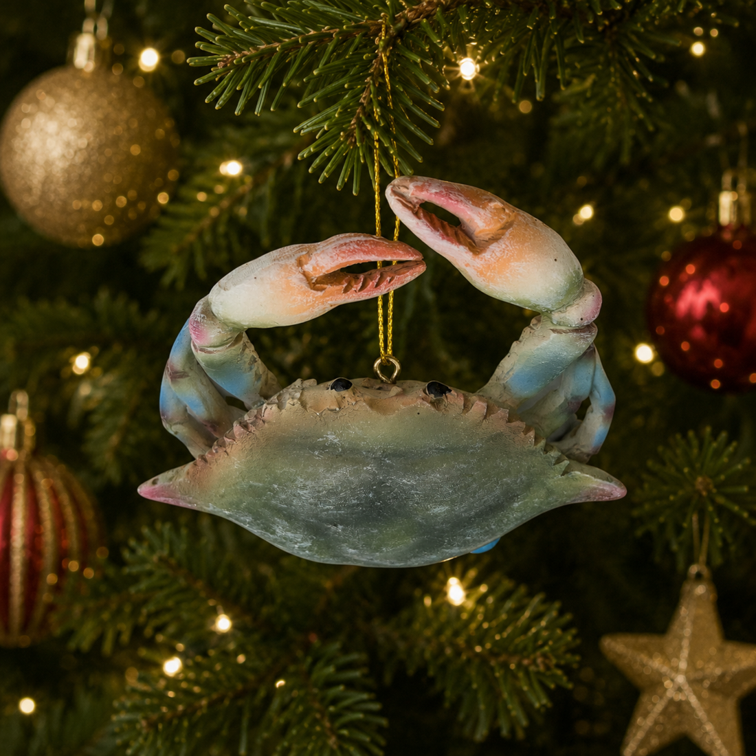 Blue Crab