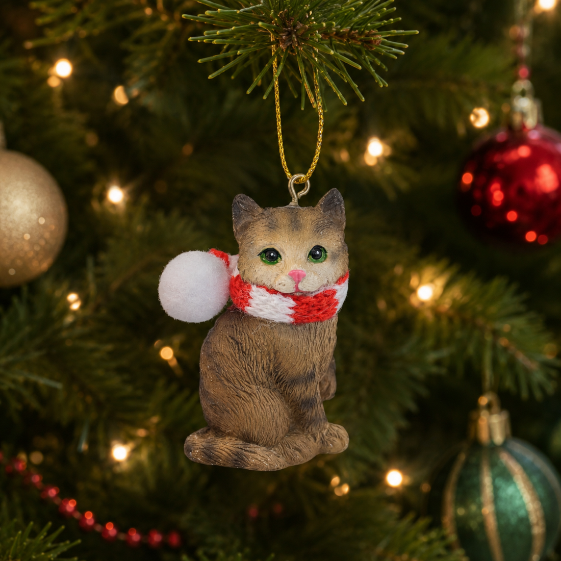 Brown Tabby Cat with Scarf
