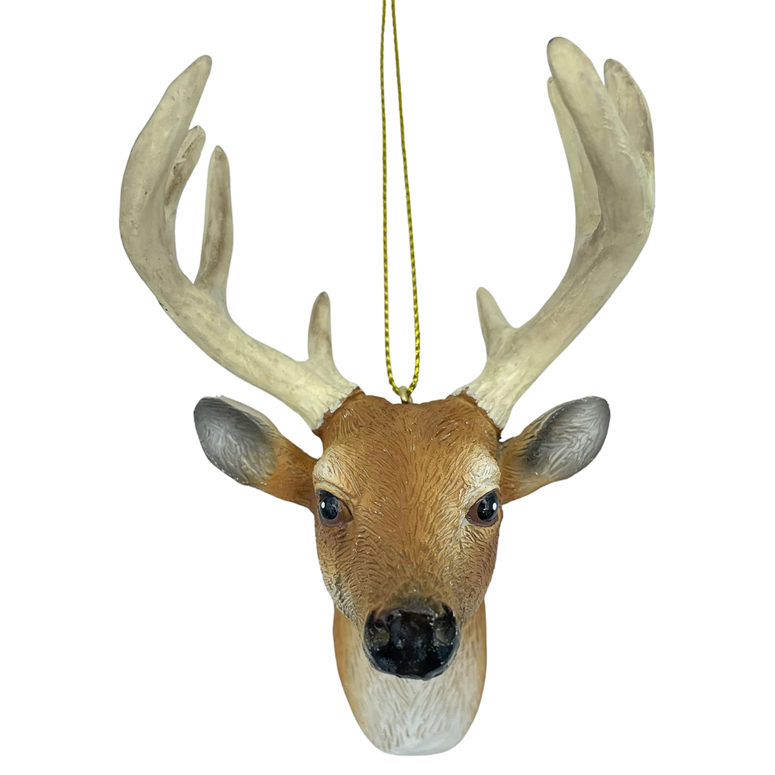 Deer Bust