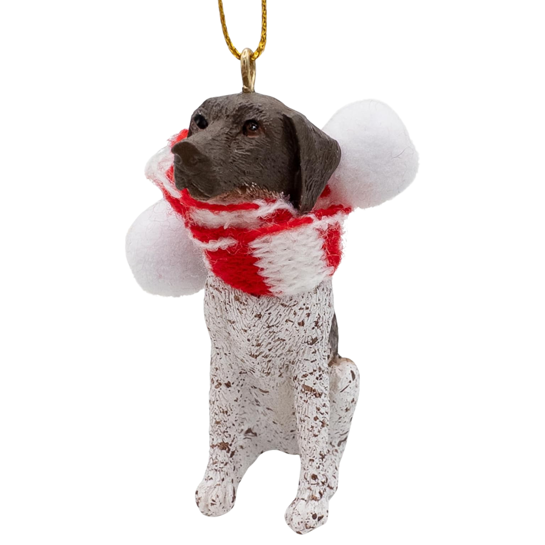 German Shorthaired Pointer - Light