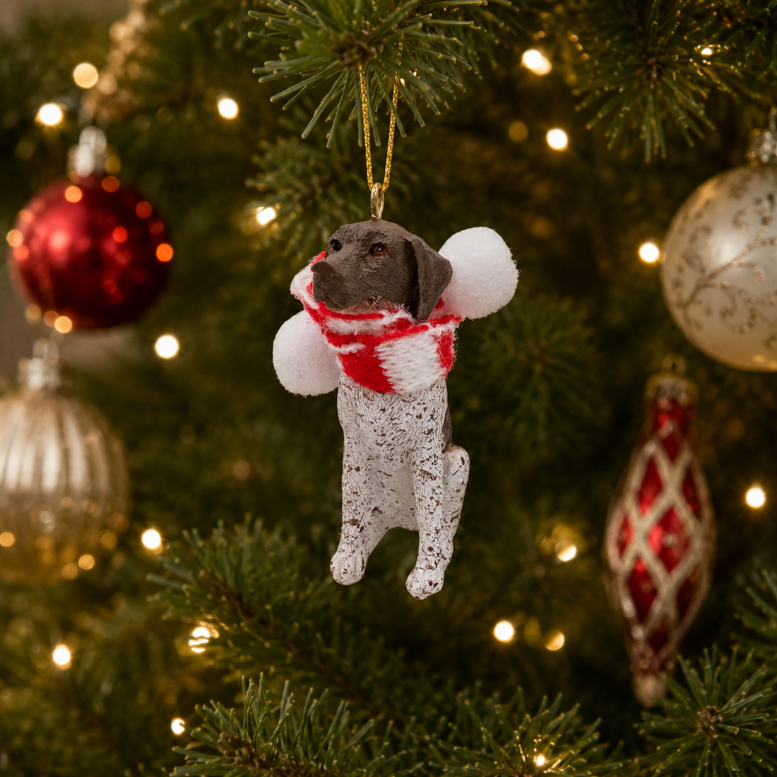 German Shorthaired Pointer - Light
