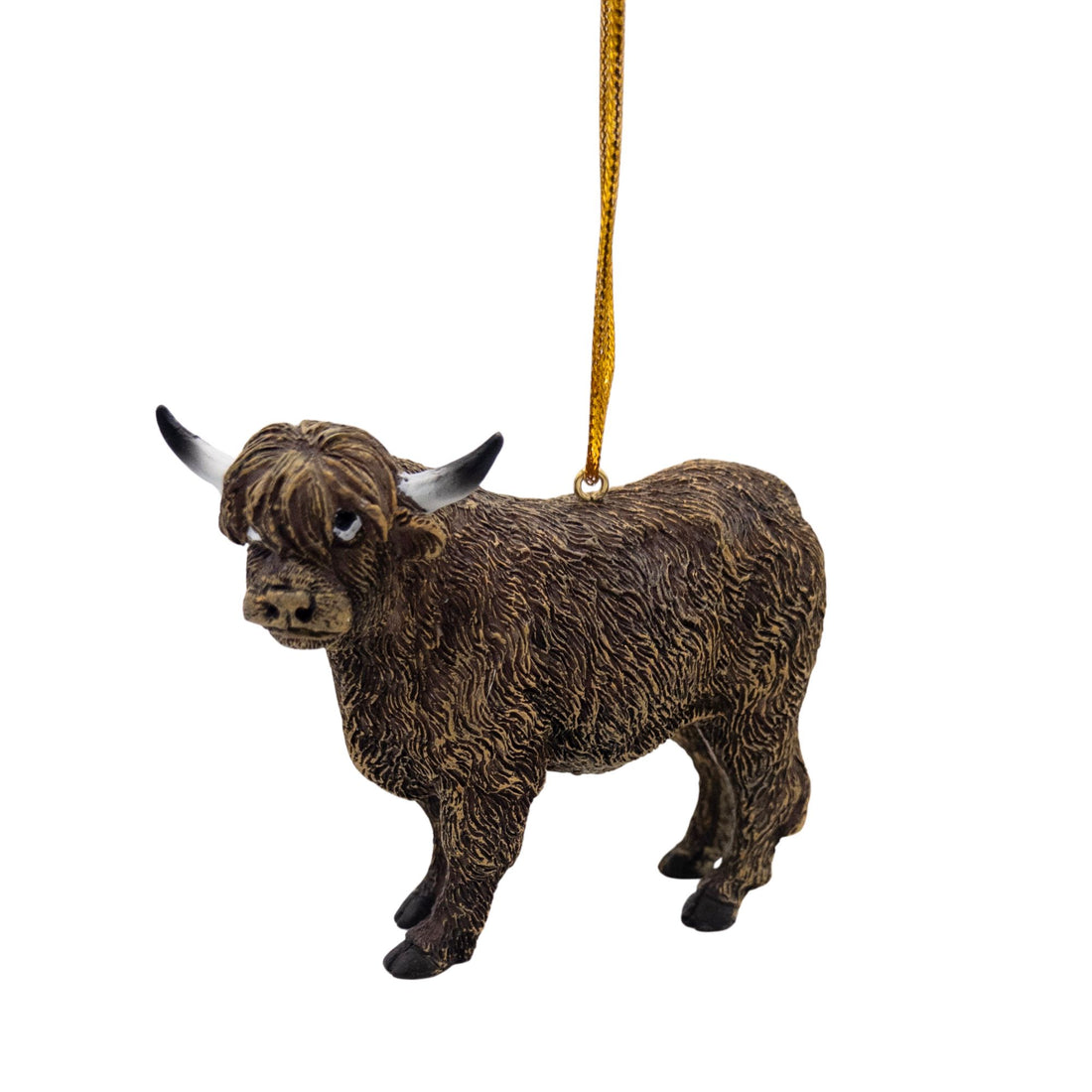 Highland Cow