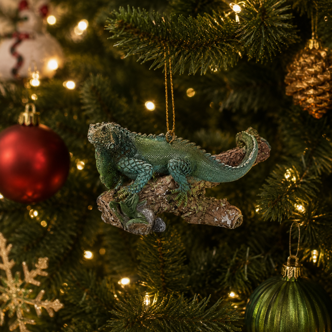 Iguana