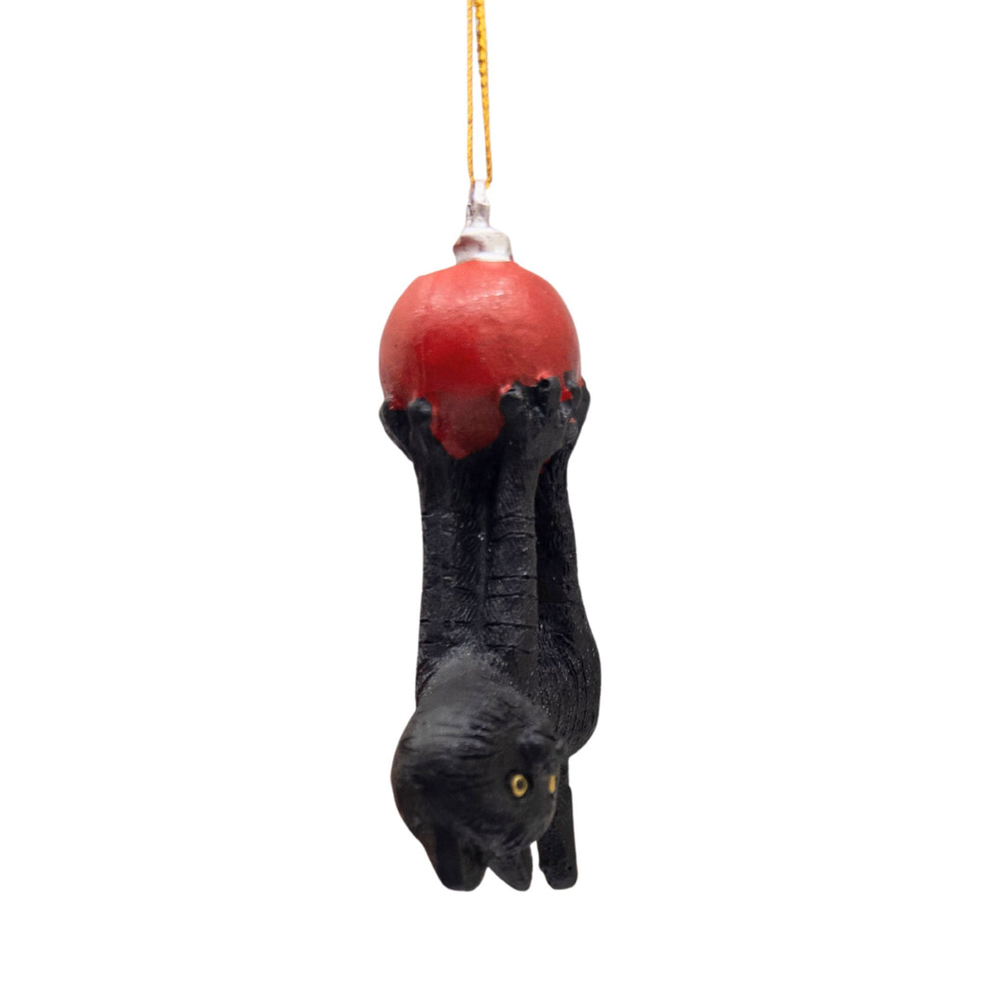 Black Cat Hanging from Bulb