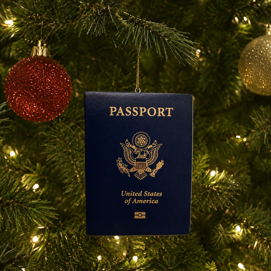 Passport