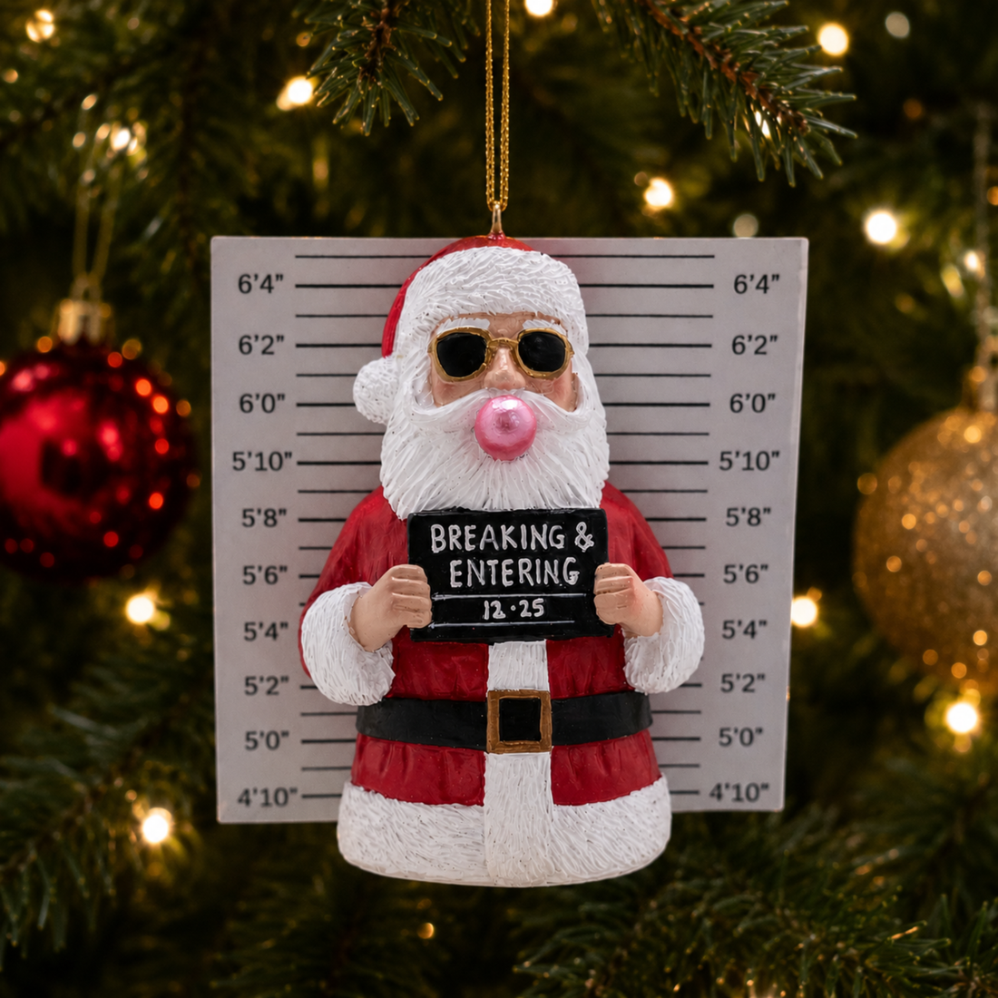 Santa Mugshot