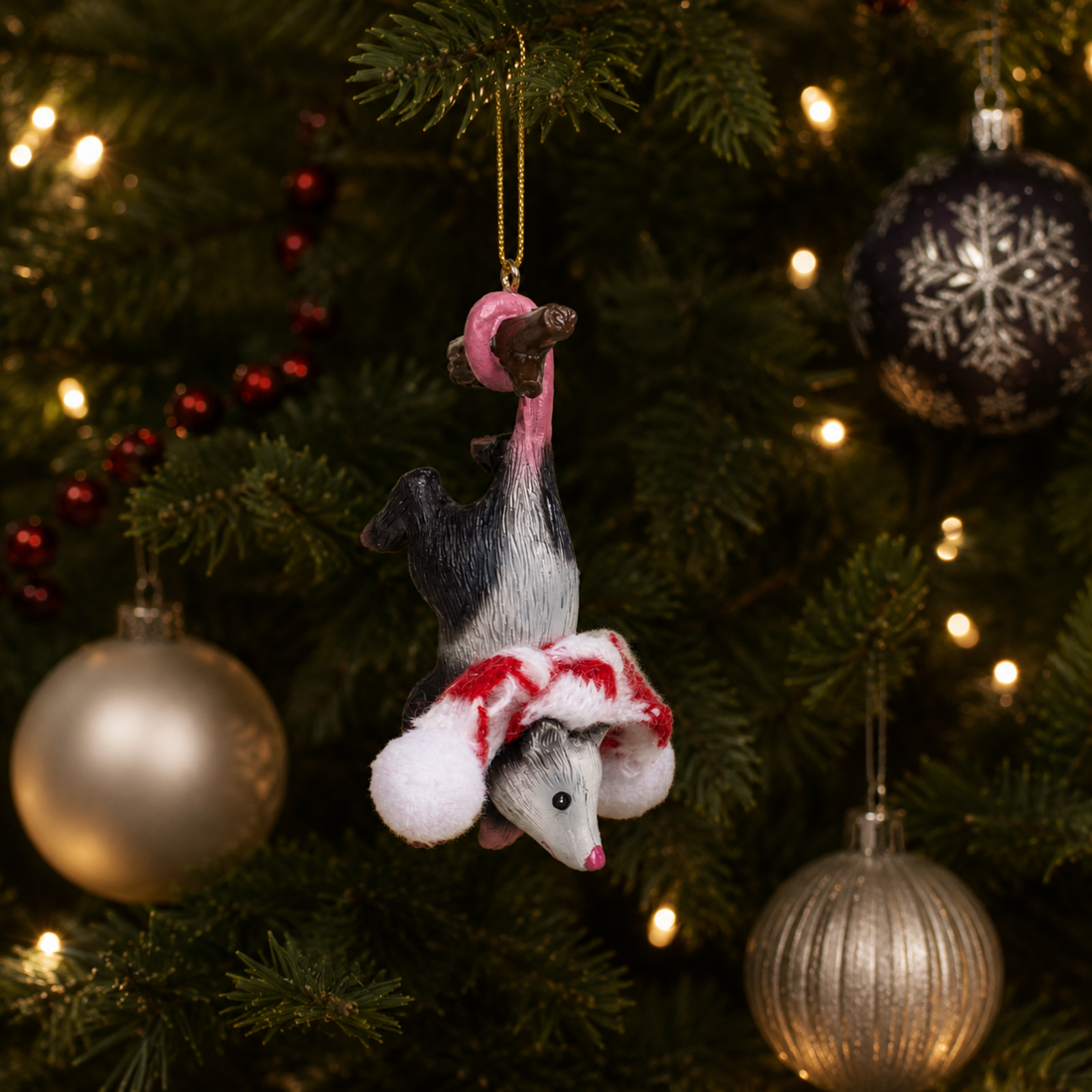 Upside Down Opossum