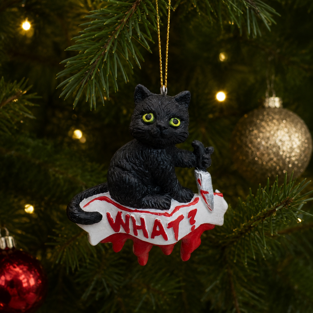 "What?" Black Cat
